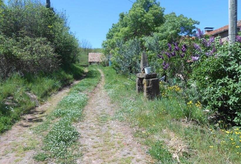 Пансион Gîte Des Monts