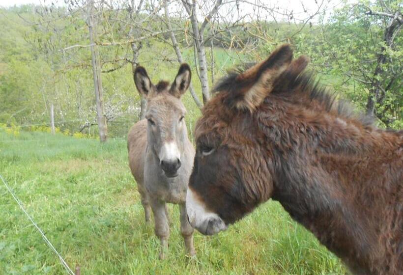 Пансион Gîte Des Monts
