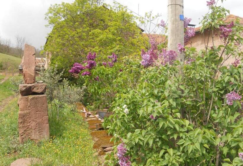 Пансион Gîte Des Monts