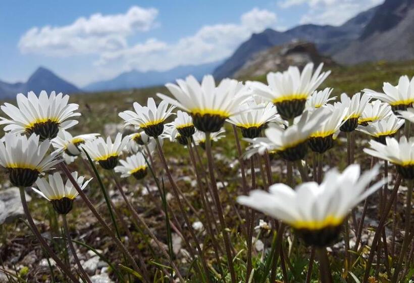 بنسيون Haus Hasslacher