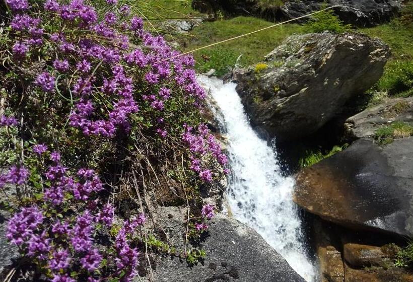 بنسيون Haus Hasslacher