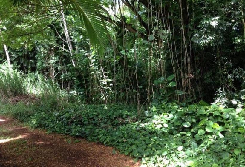 بنسيون Heavenly Hana Paradise