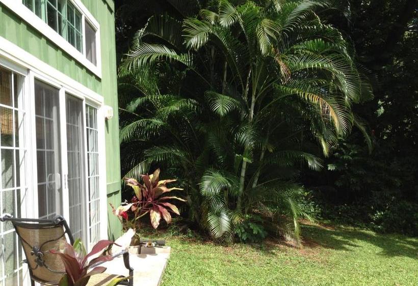 بنسيون Heavenly Hana Paradise