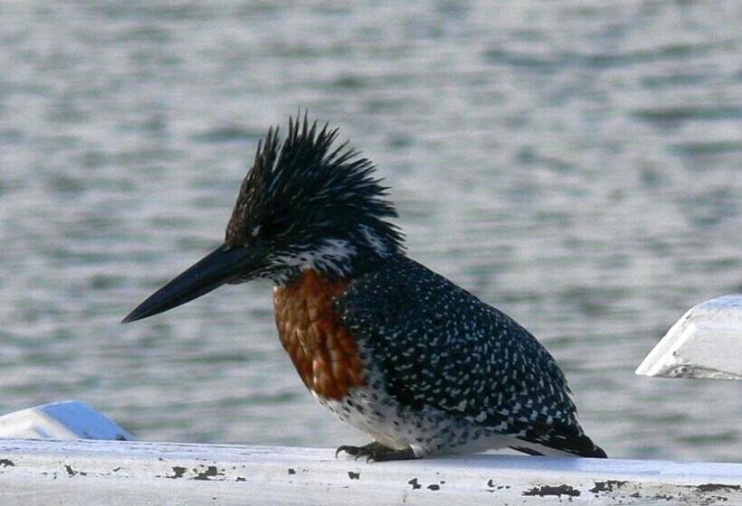 پانسیون Kowie River Guest House