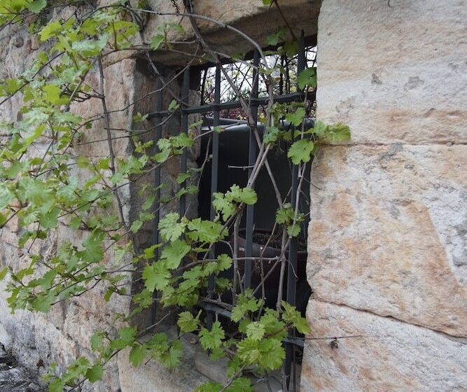 펜션 La Casona Del Herrero