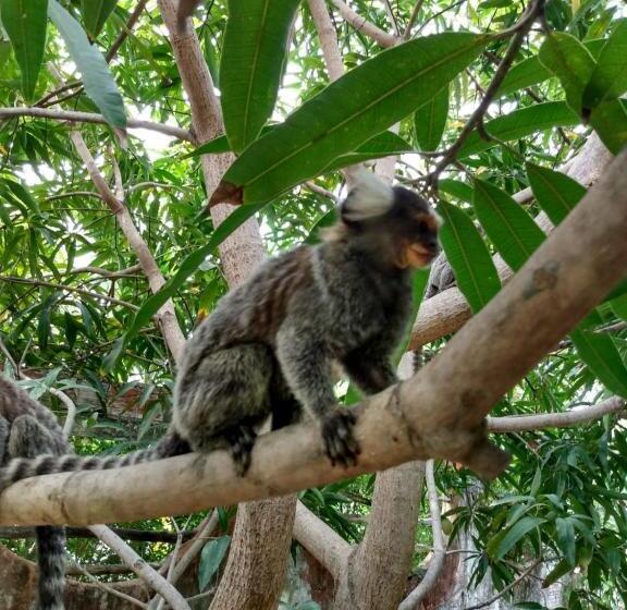 Пансион Paracuru Kite Village