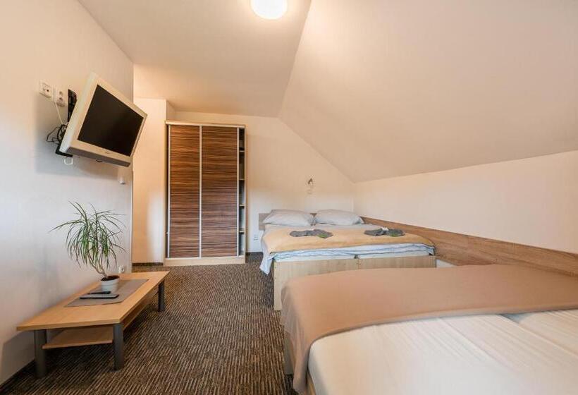 بنسيون Penzion 103