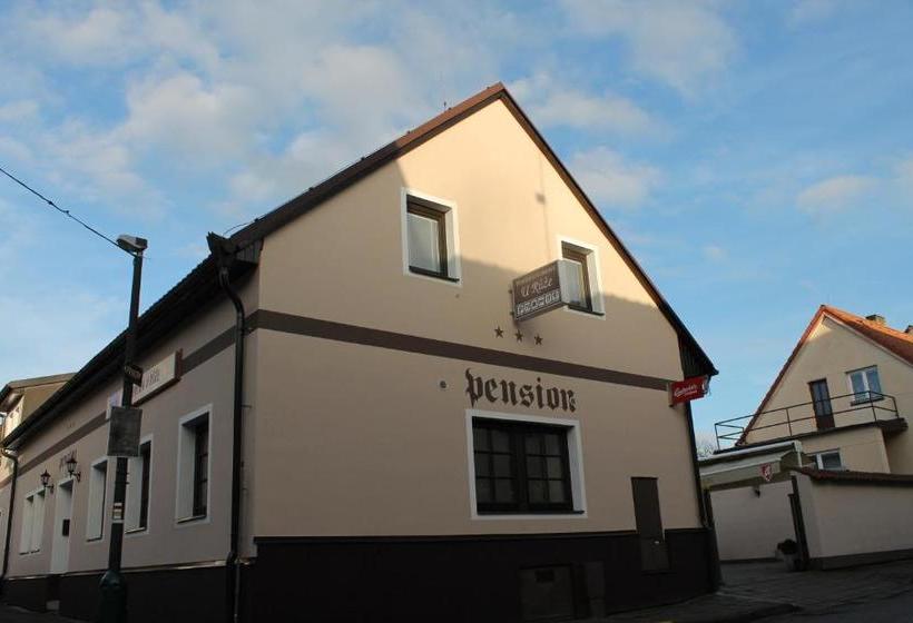 膳宿费 Penzion U Růže