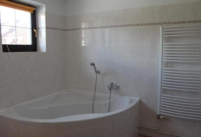 膳宿费 Penzion U Růže