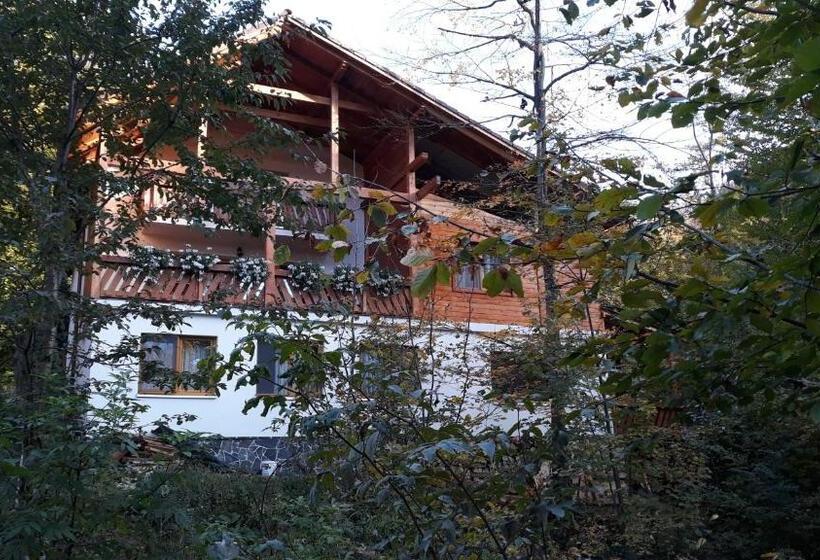 펜션 Pintea Chalet