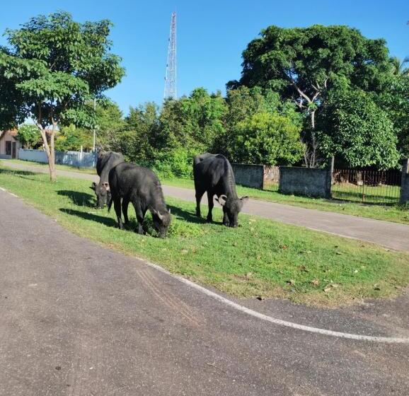 بنسيون Pousada Ventania Do Rio Mar