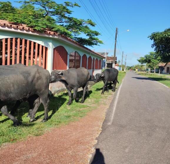 بنسيون Pousada Ventania Do Rio Mar