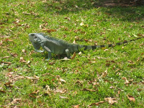 بنسيون Pousada Ventania Do Rio Mar
