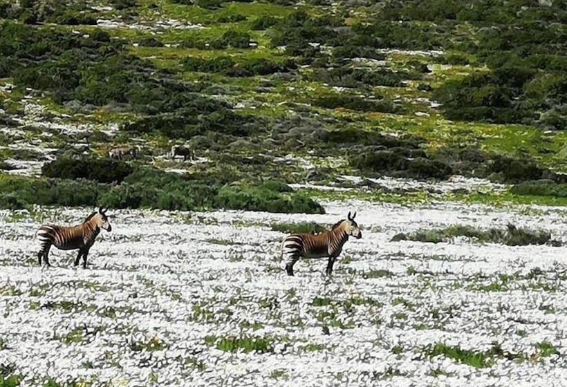 膳宿费 Sandra's Guest House