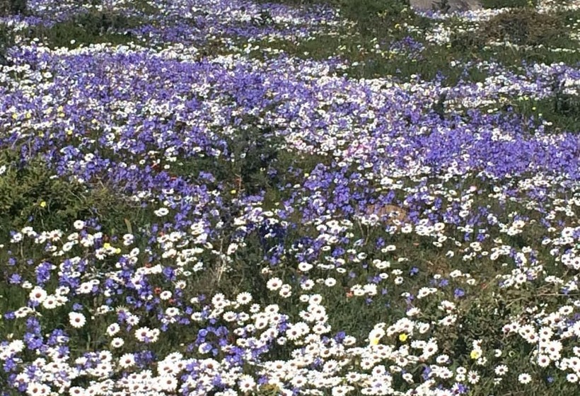 膳宿费 Sandra's Guest House