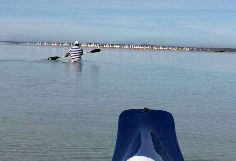 膳宿费 Sandra's Guest House