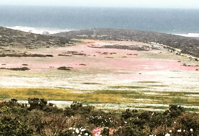 膳宿费 Sandra's Guest House