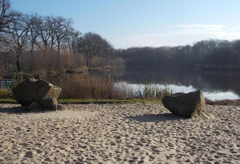 膳宿费 Ubytovani U švýcarů