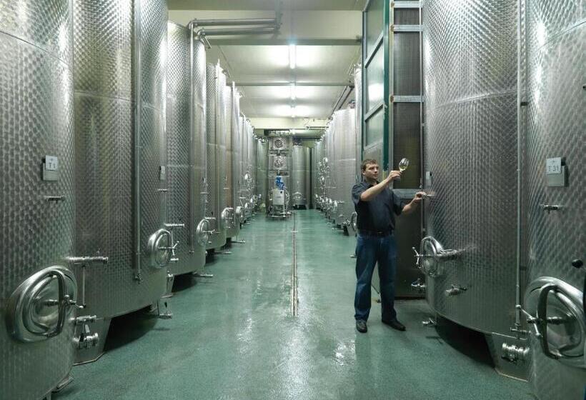 پانسیون Weingut Skoff Original