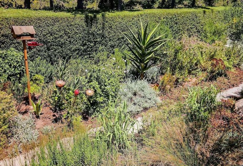 膳宿费 Elgin Valley Inn