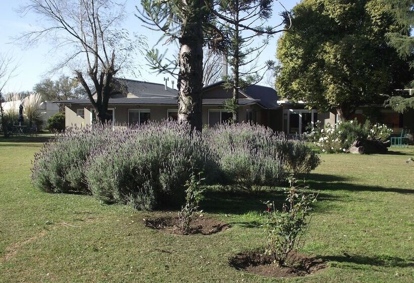 فندق صغير De Campo Posada La Esperanza