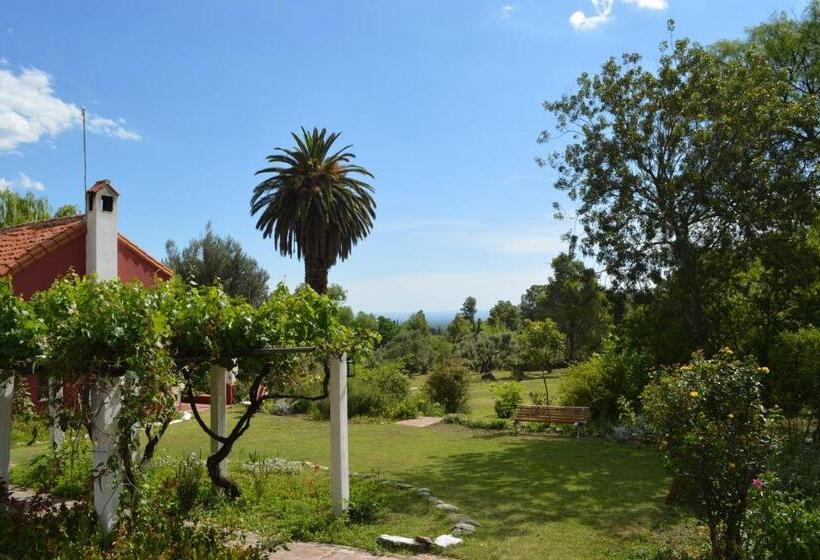 فندق صغير Hostería Bello Horizonte