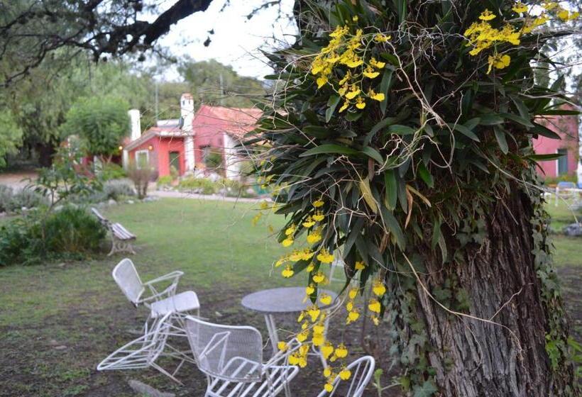 فندق صغير Hostería Bello Horizonte