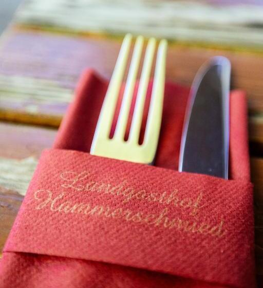 旅馆 Landgasthof Zum Hammerschmied