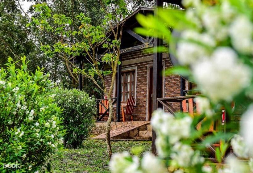 فندق صغير Las Azaleas