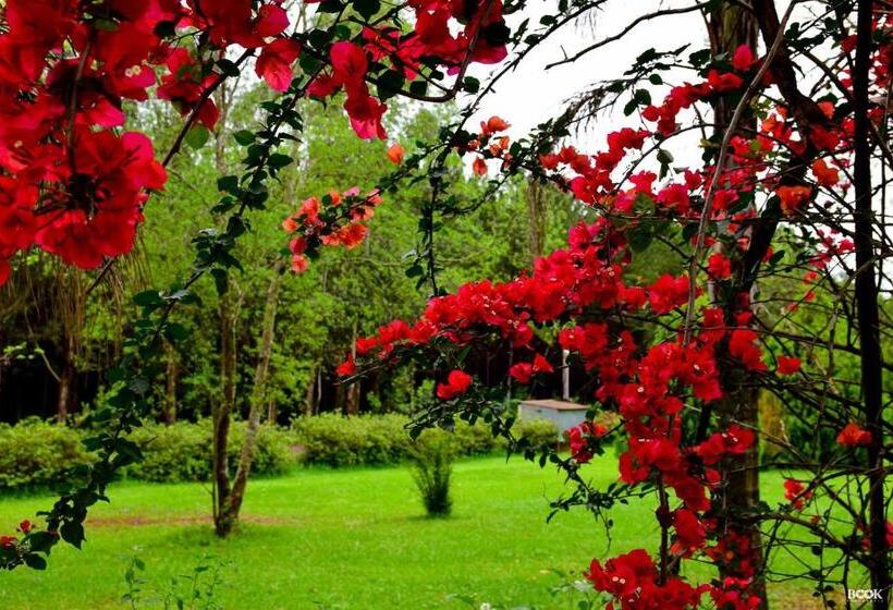 فندق صغير Las Azaleas