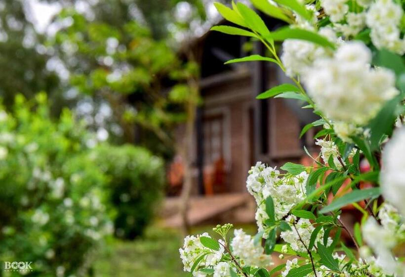 فندق صغير Las Azaleas