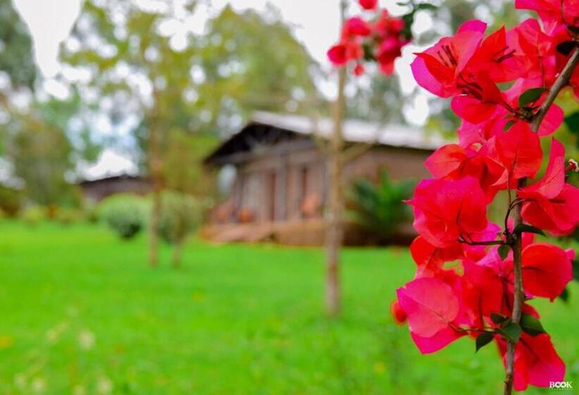 فندق صغير Las Azaleas