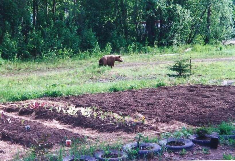 فندق صغير Swiss Alaska Inn