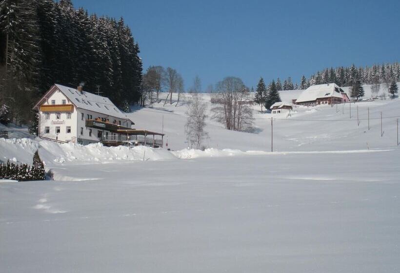 Gasthaus Pension Donishäusle