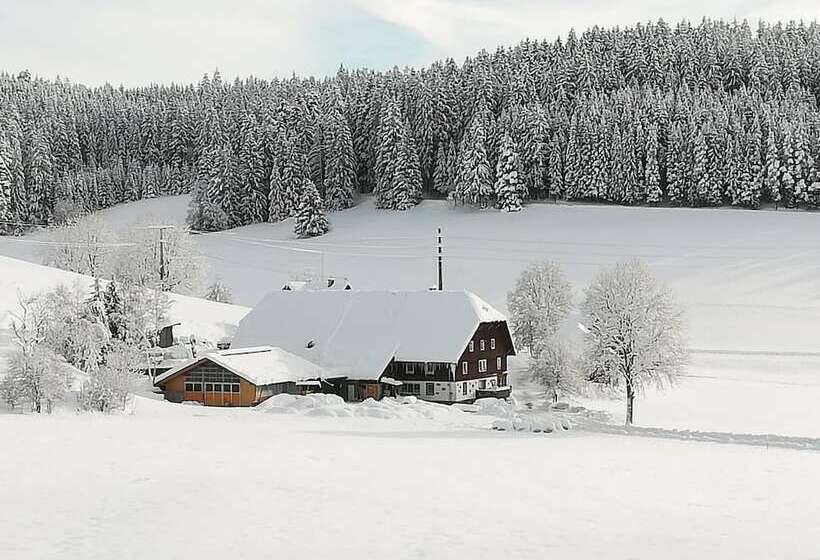 Gasthaus Pension Donishäusle