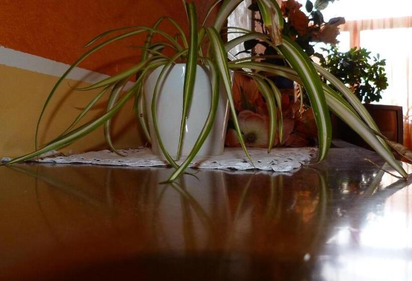 ホテル Agriturismo Ai Due Volti