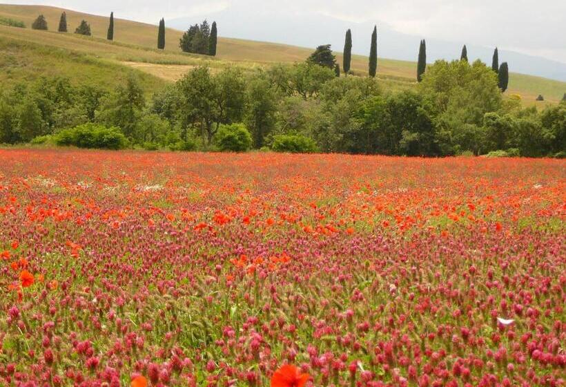 ホテル Agriturismo Casalpiano