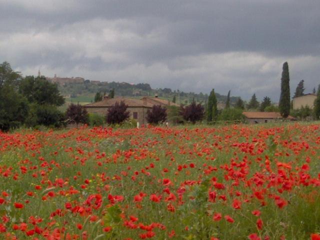 ホテル Agriturismo Casalpiano