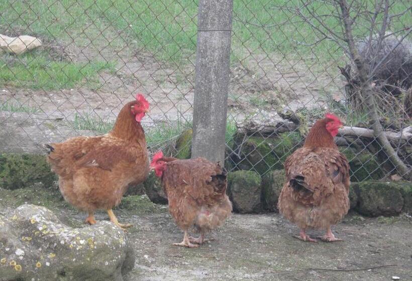 ホテル Agriturismo Casalpiano