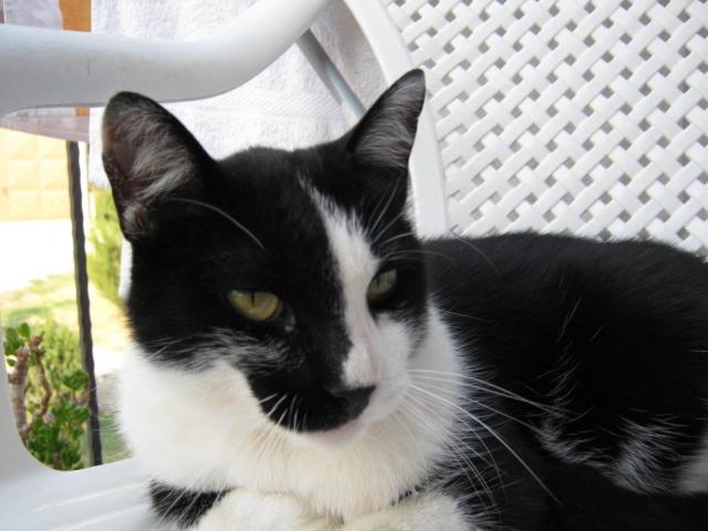 ホテル Agriturismo Casalpiano