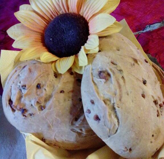 ホテル Agriturismo Casalpiano