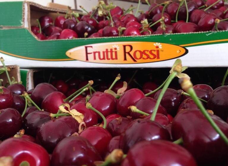 בית מלון כפרי Agriturismo Fruttirossi