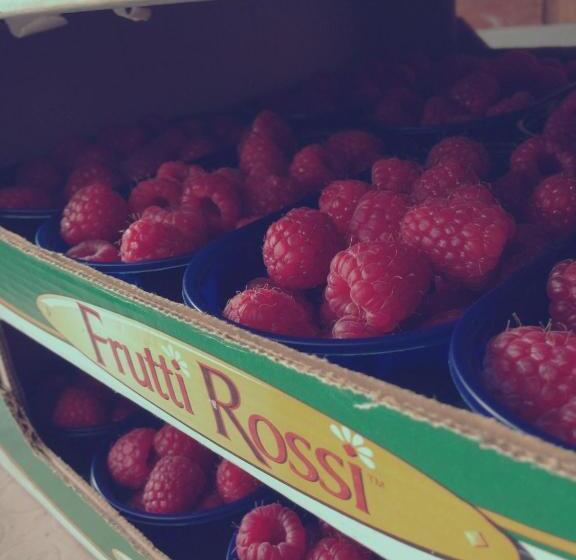 فندق Agriturismo Fruttirossi