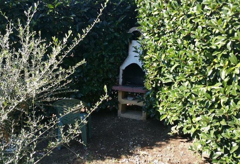 בית מלון כפרי Agriturismo Torre Flavia