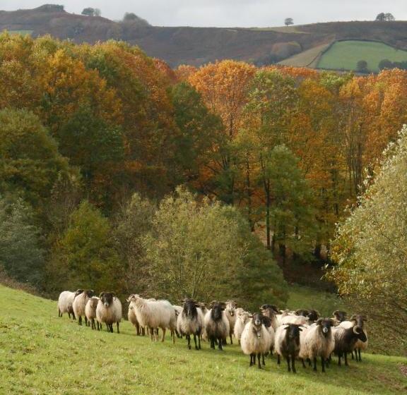 Отель Apartamentos Rurales Kastonea