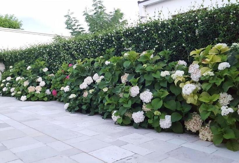 ホテル La Ferula Bed&pool