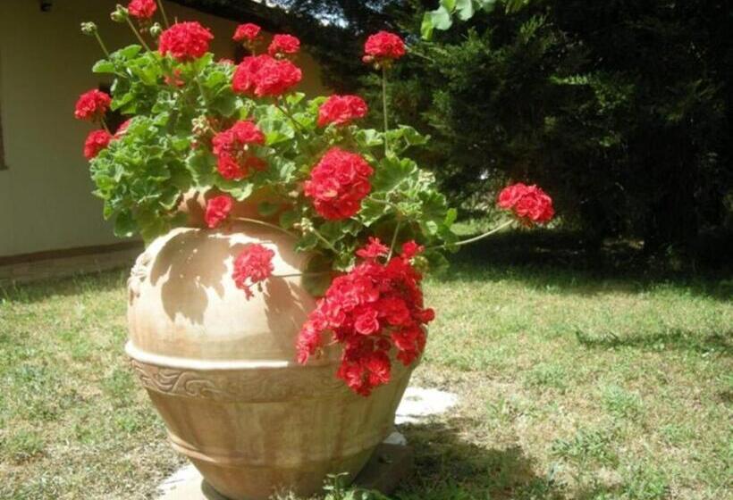 酒店 Vigna Lontana