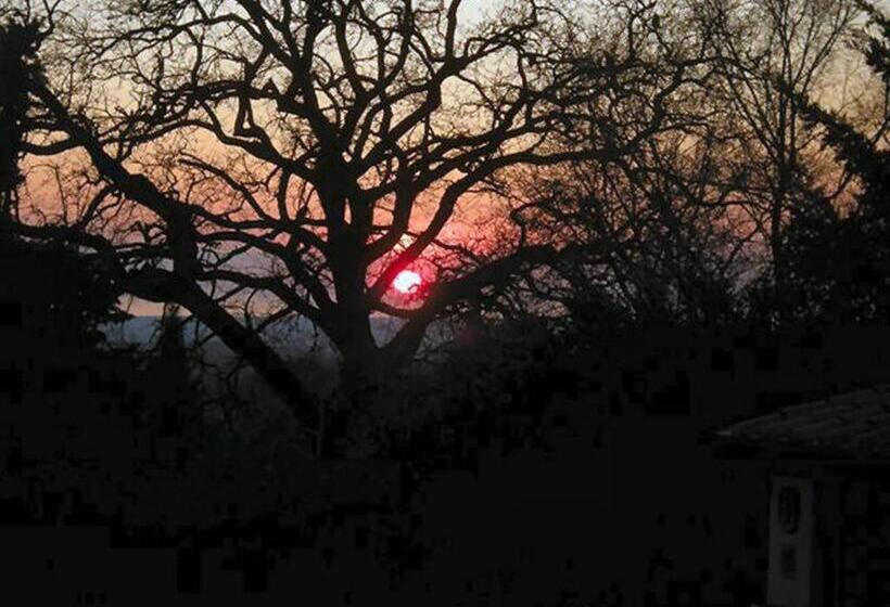 酒店 Vigna Lontana