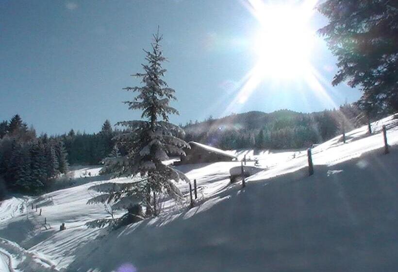 בית מלון כפרי Wandlehenhof