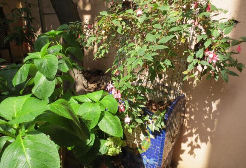 펜션 1900 B&b Terrassa